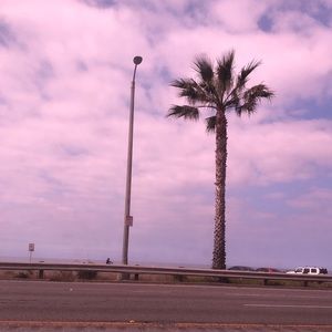 Meet your Posher, Daisy